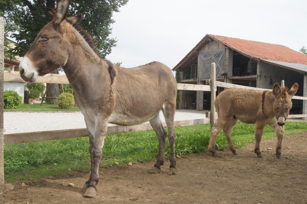 Agriturismo Richeton Villa Gaiarine Eksteriør bilde